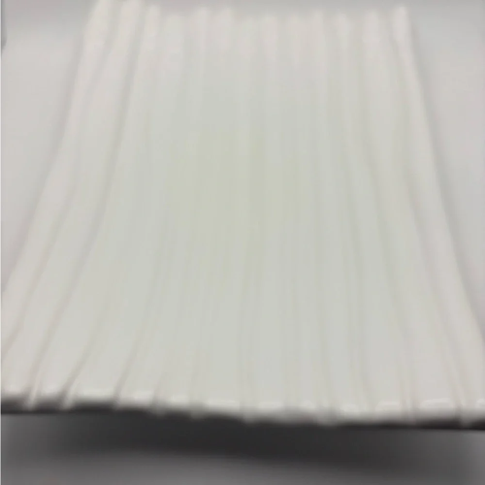 White Asparagus Ceramic Tray/Plate